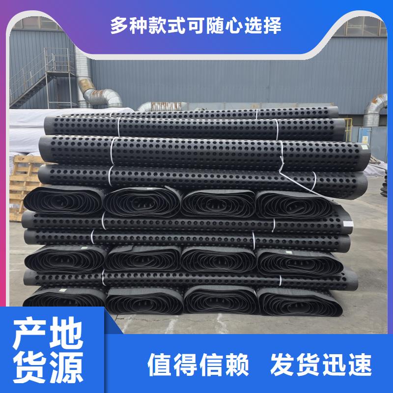 排水板20mm厚疏水板信誉至上