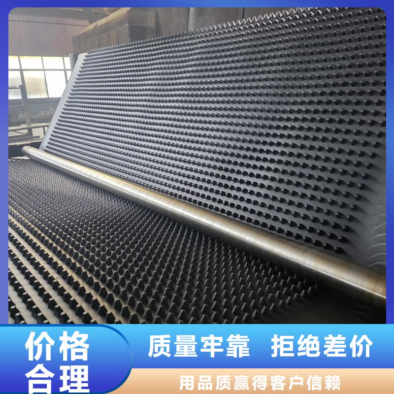 排水板_塑料排水板质优价廉