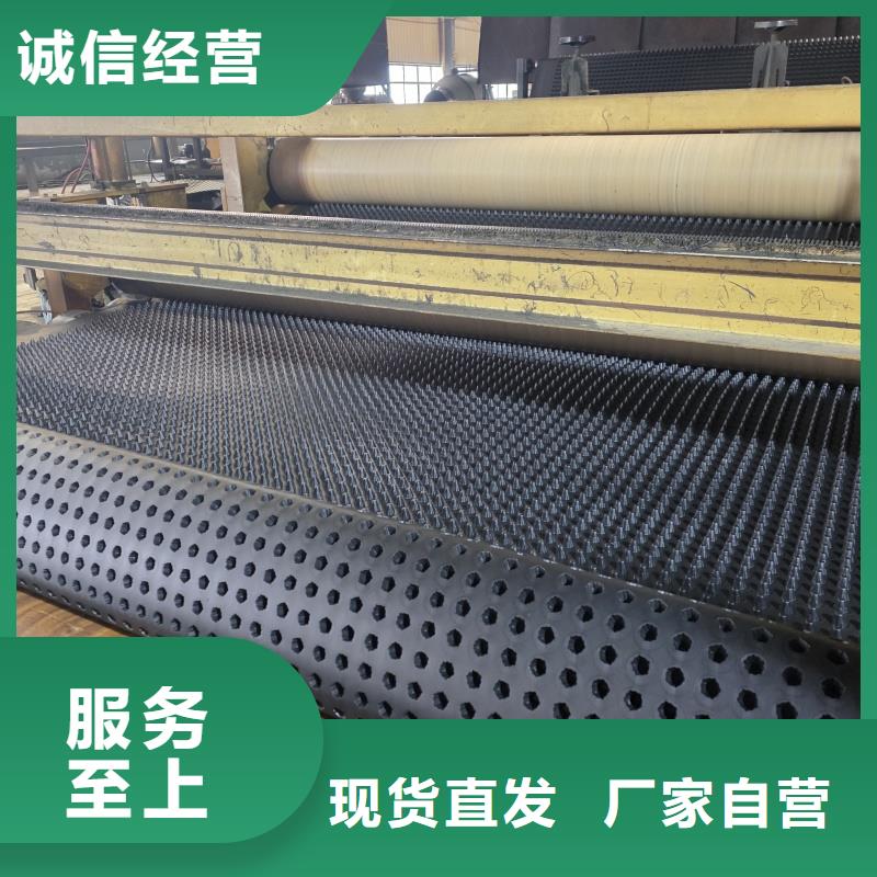 排水板20mm厚疏水板信誉至上