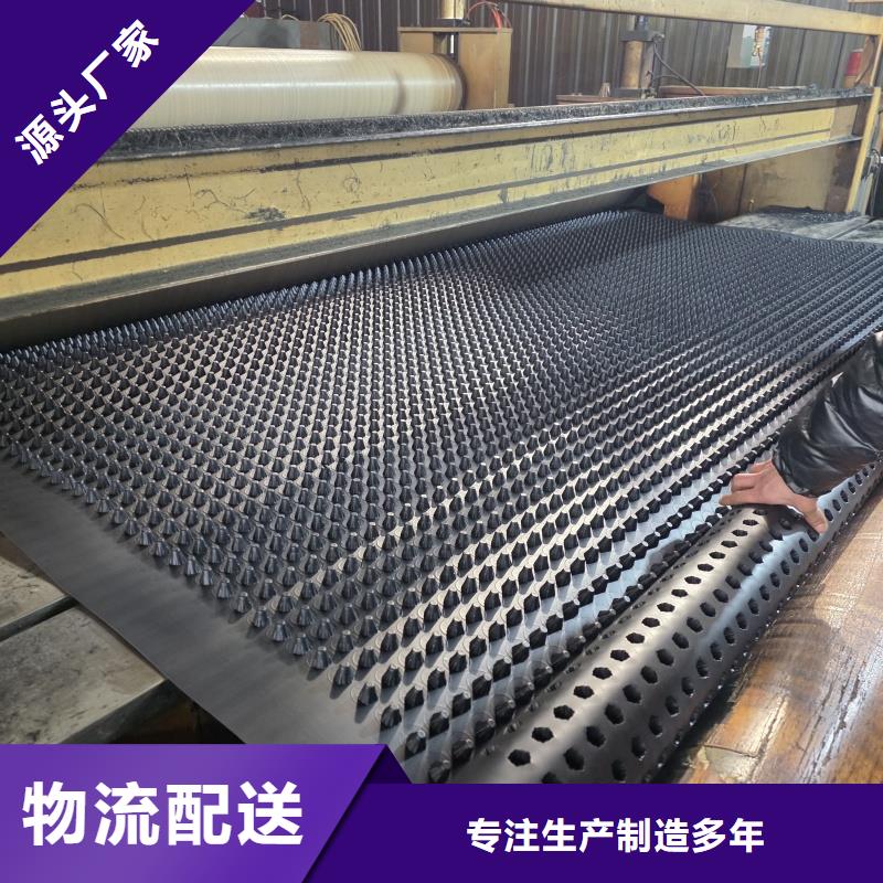 排水板_40mm厚疏水板用心制造