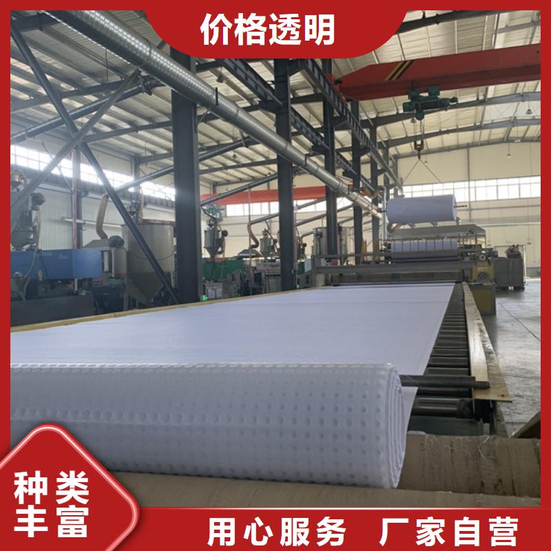 排水板40mm厚排水板定制定做