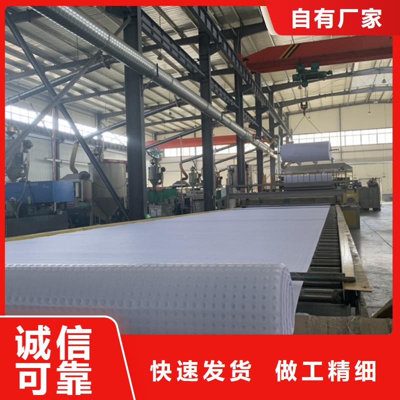 排水板_25mm厚排水板订制批发