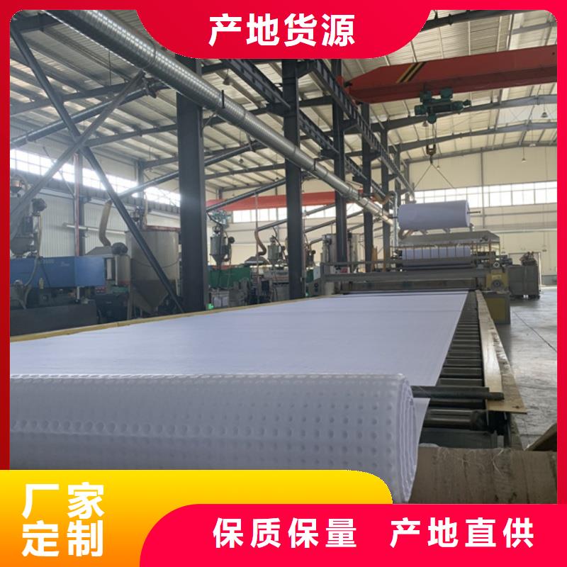 排水板40mm厚排水板一站式采购商家