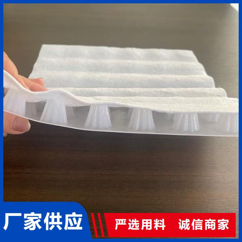 排水板40mm厚排水板一站式采购商家