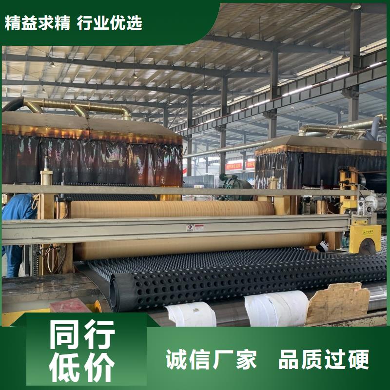 排水板60mm厚疏水板低价货源