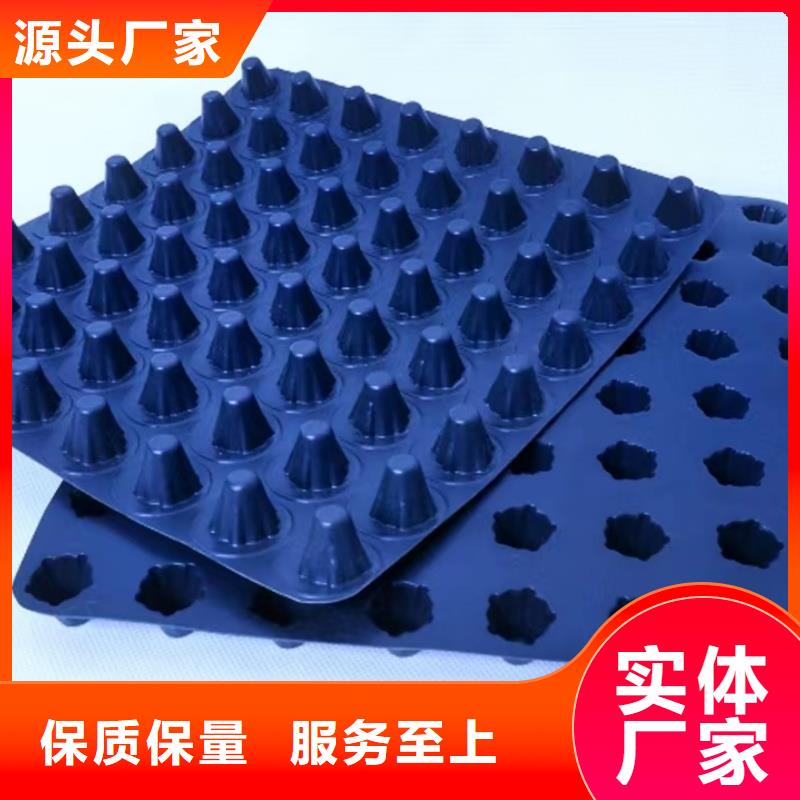 排水板_排水板48小时发货