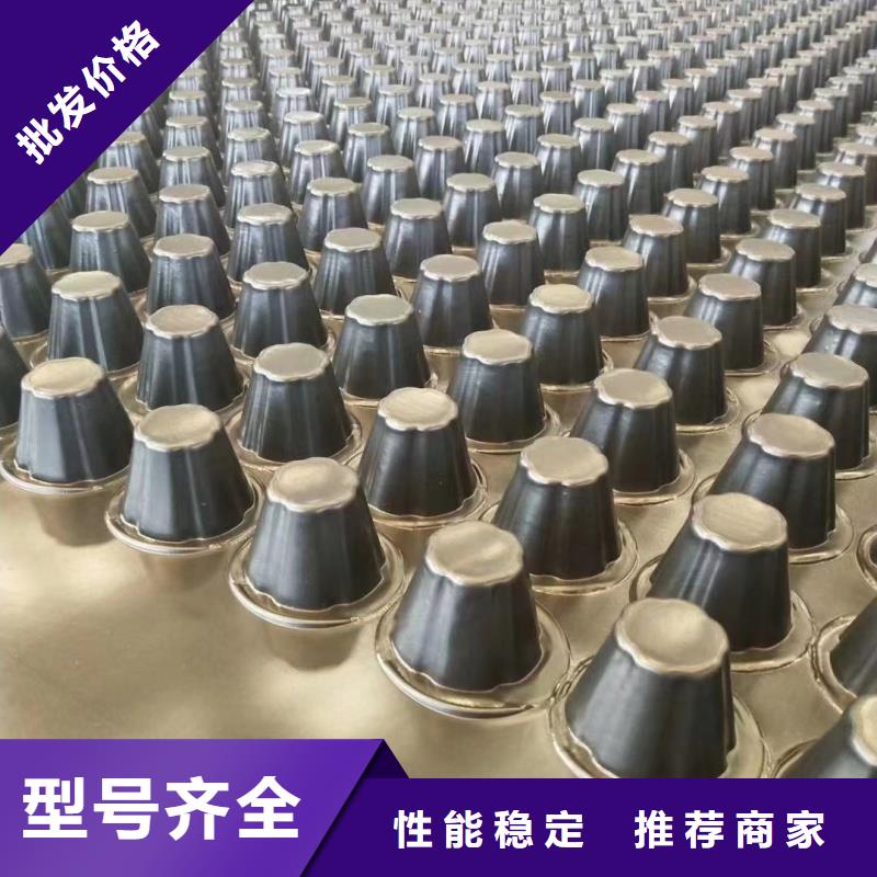 排水板_塑料排水板质优价廉