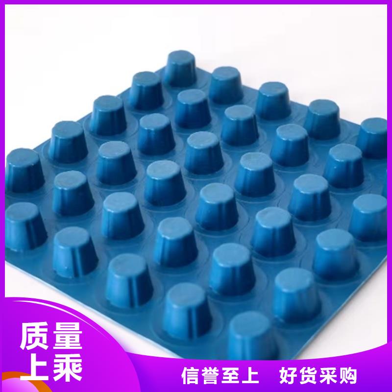 排水板25mm厚疏水板实地大厂