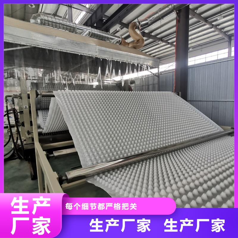 排水板40mm厚排水板一站式采购商家