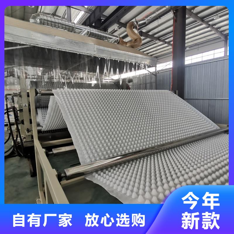 排水板_塑料疏水板市场报价