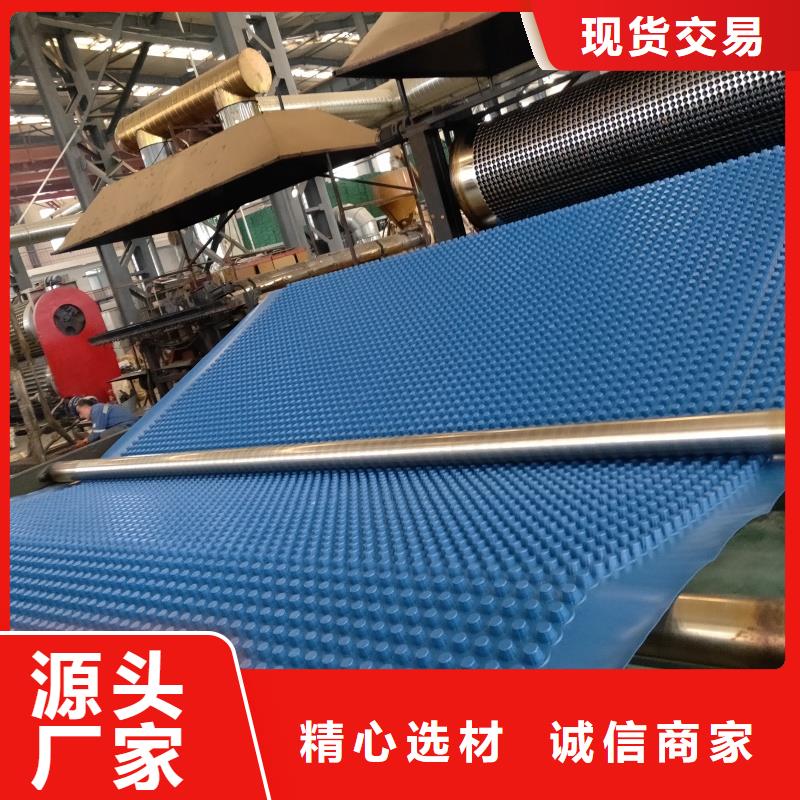 排水板塑料疏水板来图定制
