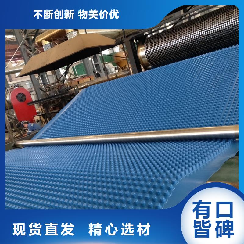 排水板_30mm厚滤水板厂家售后完善