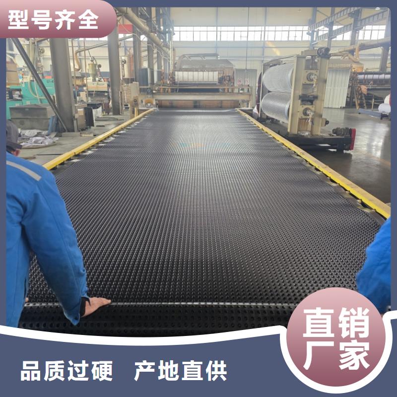 排水板20mm厚疏水板信誉至上