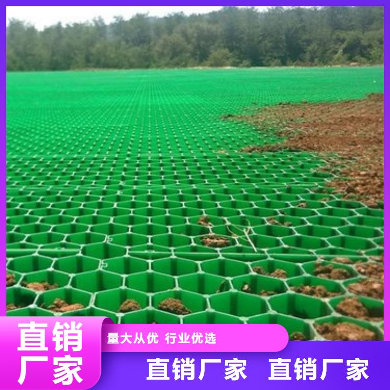 植草格5公分植草格省心又省钱