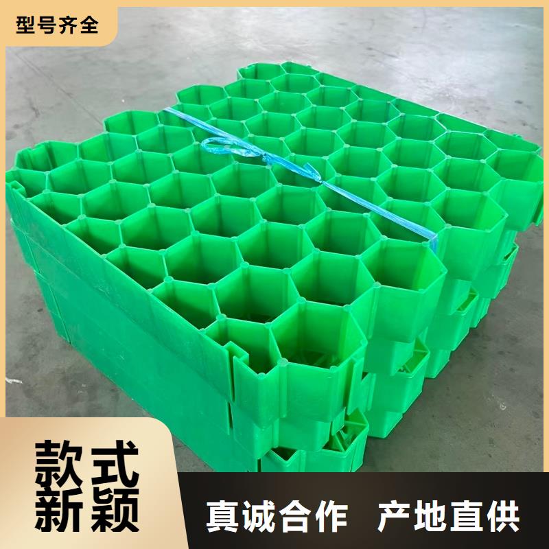 植草格,植草格口碑好实力强