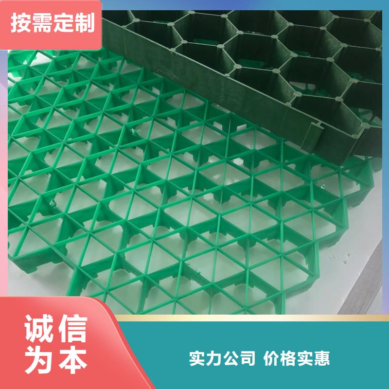 植草格7公分植草格按需定制