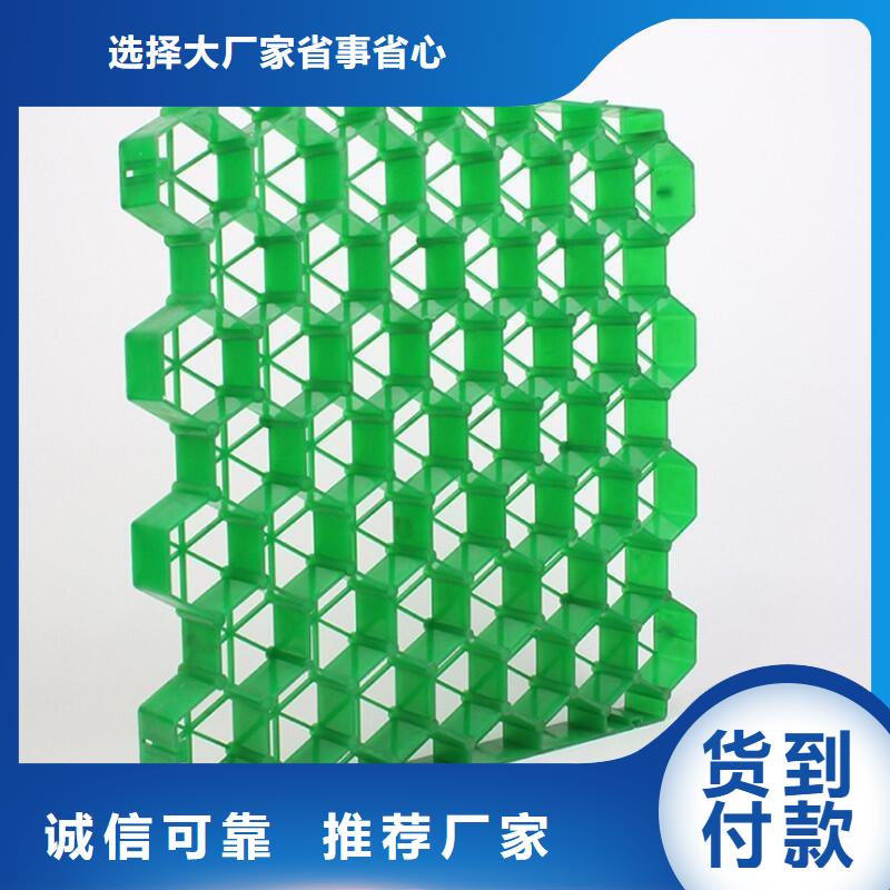 植草格7公分植草格质量为本