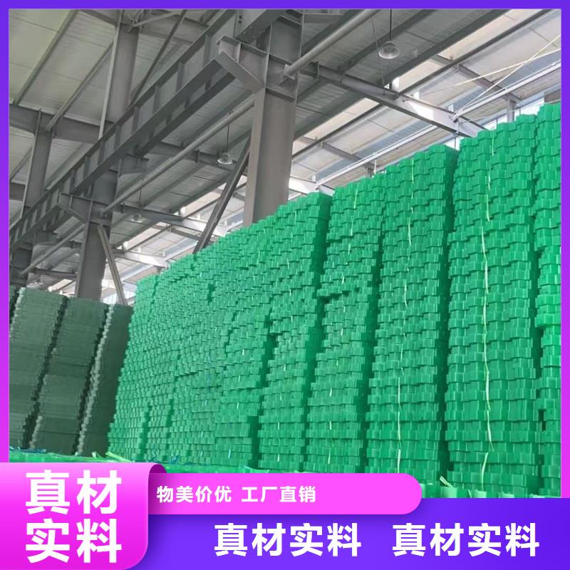 植草格植草格好厂家有担当