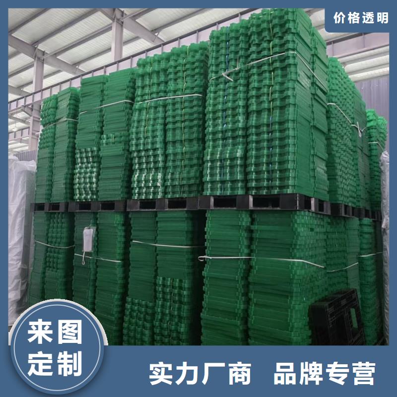 植草格-植草格一站式供应