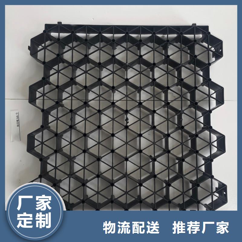 植草格,树池格栅现货直发