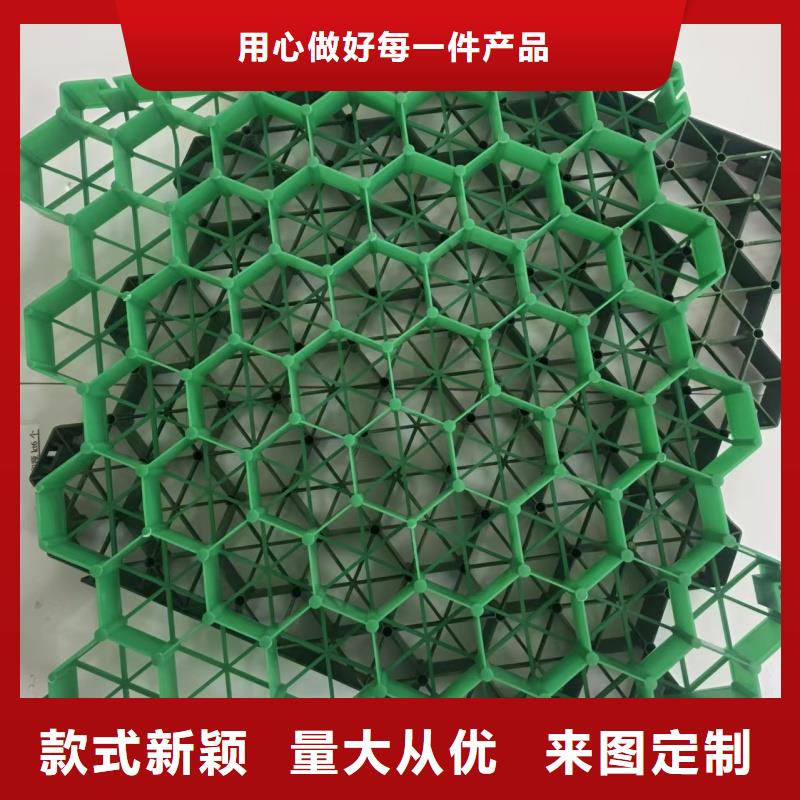植草格停车位植草格供您所需