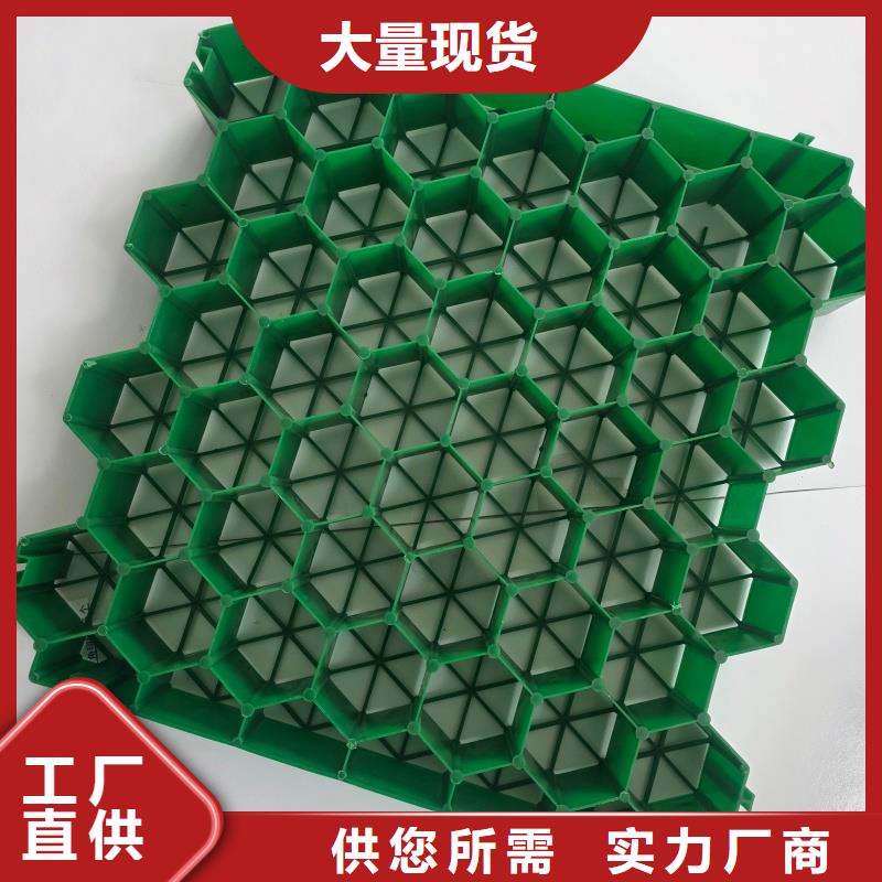 植草格停车位植草格供您所需