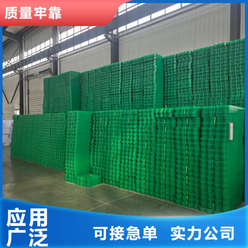 植草格树篦子支持批发零售