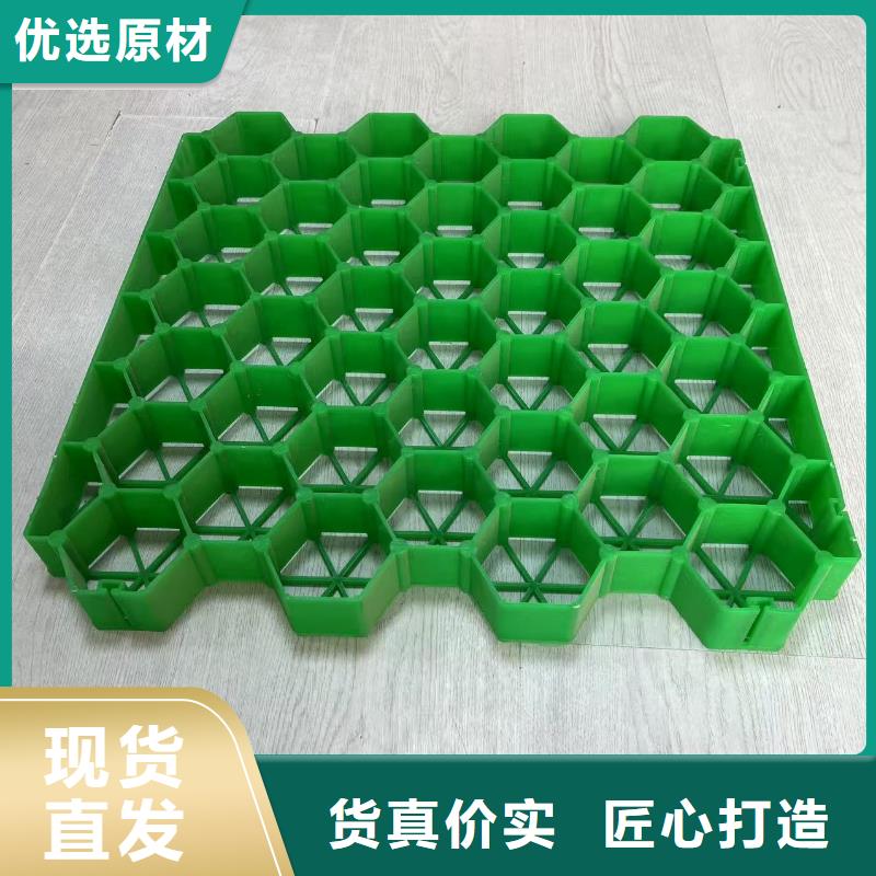 植草格7公分植草格按需定制