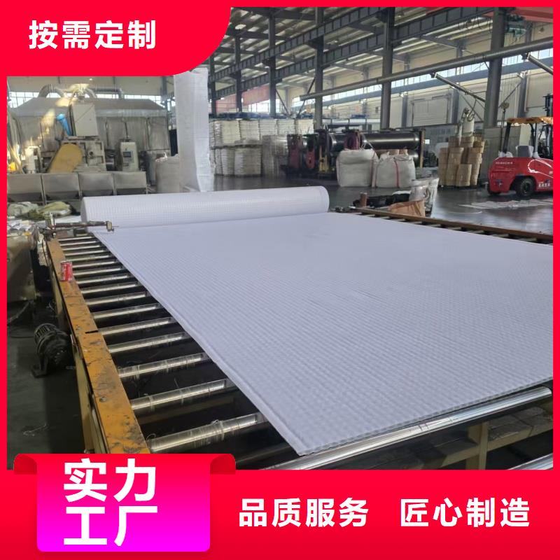 虹吸排水板_蓄水模块价格公道合理