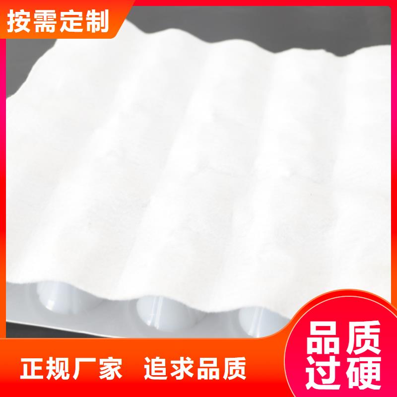 虹吸排水板,ped14高分子防护排水异型片厂家实力大
