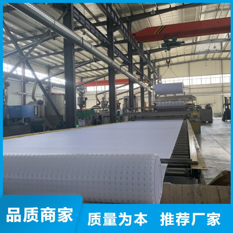 虹吸排水板高分子防护排水异型片厂家直销放心