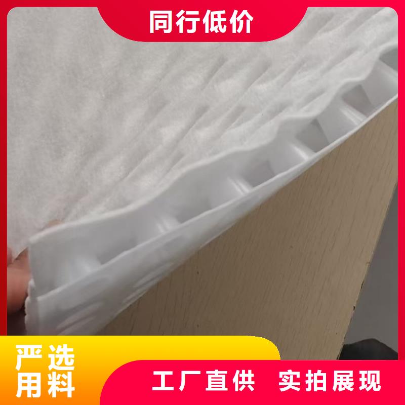 虹吸排水板ped14高分子防护排水异型片支持拿样