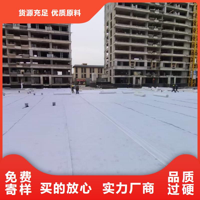 虹吸排水板ped14高分子防护排水异型片支持拿样