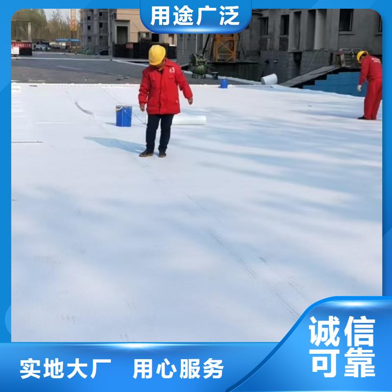 虹吸排水板,ped14高分子防护排水异型片厂家实力大