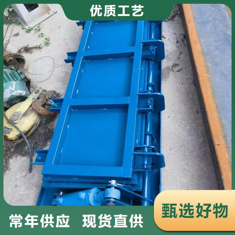 冲洗门|一体化测控闸门测控一体化双吊闸门商家直供