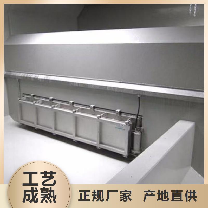 冲洗门|一体化测控闸门测控一体化双吊闸门商家直供