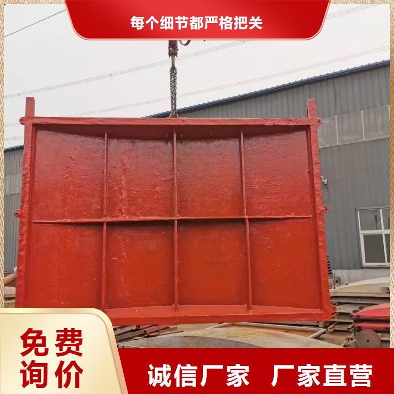 手电两用式启闭机按需定制