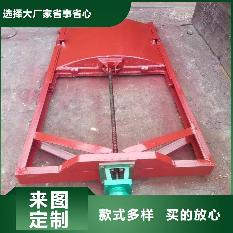 手电两用式启闭机按需定制