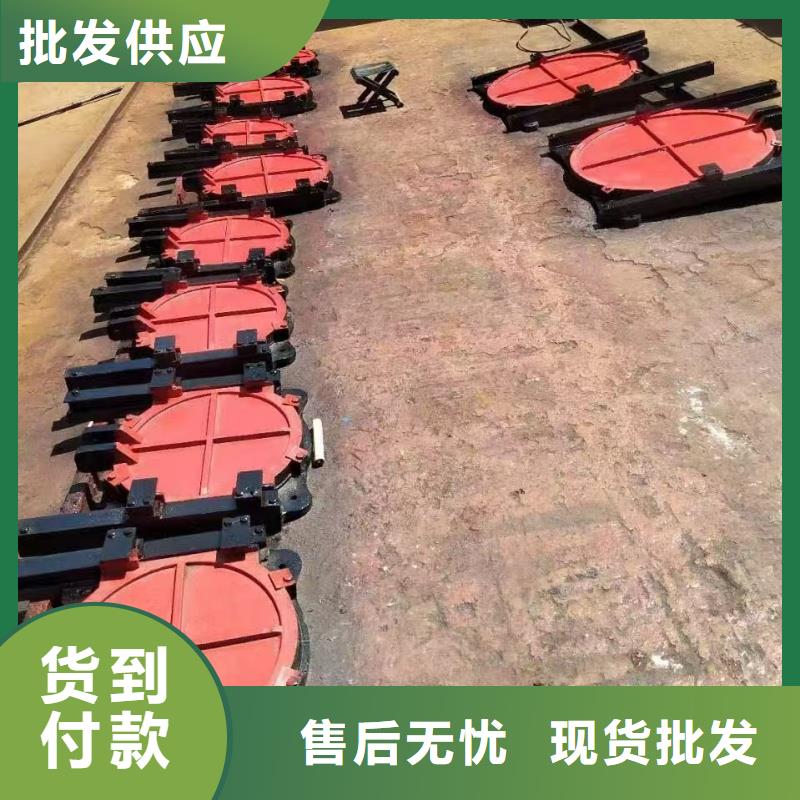 手电两用式启闭机按需定制