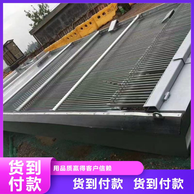 机械格栅耙齿实体生产厂家