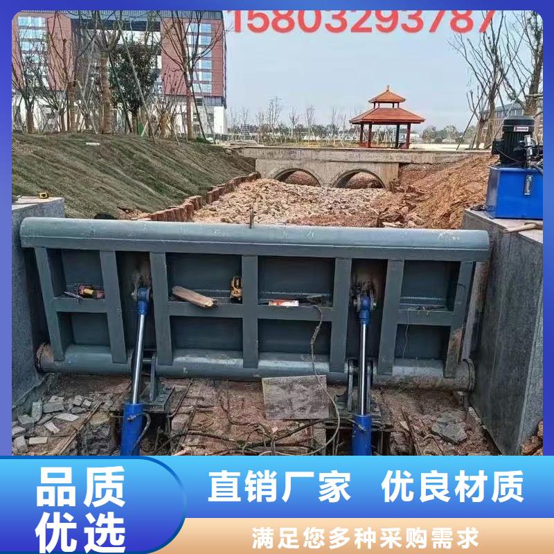 翻板闸门定制加工