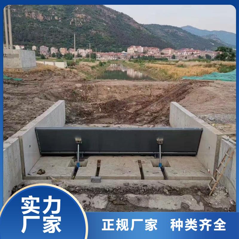 钢坝|翻板闸门合页坝物流配送