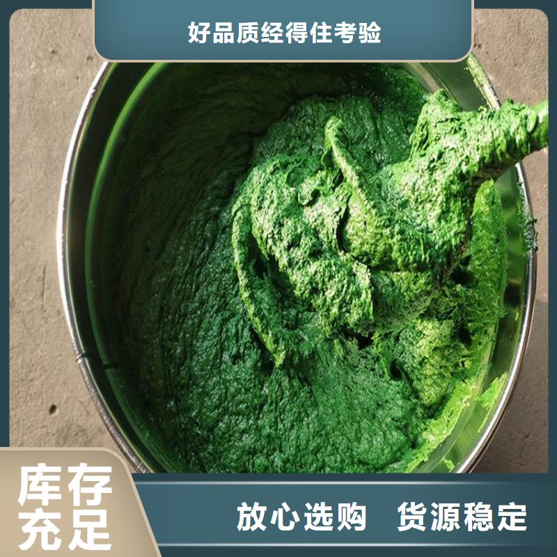 如何选择乙烯基鳞片胶泥本地厂家