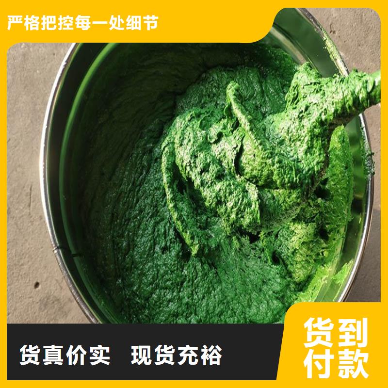 绿色玻璃鳞片胶泥热销货源