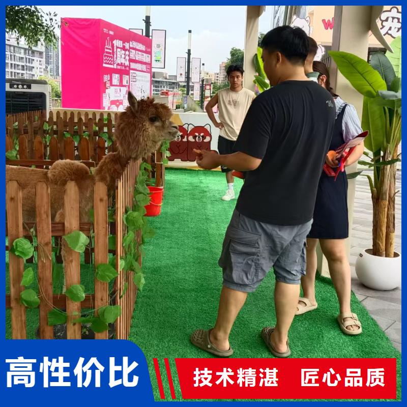 萌宠展出租赁-萌宠展出租赁品质保证