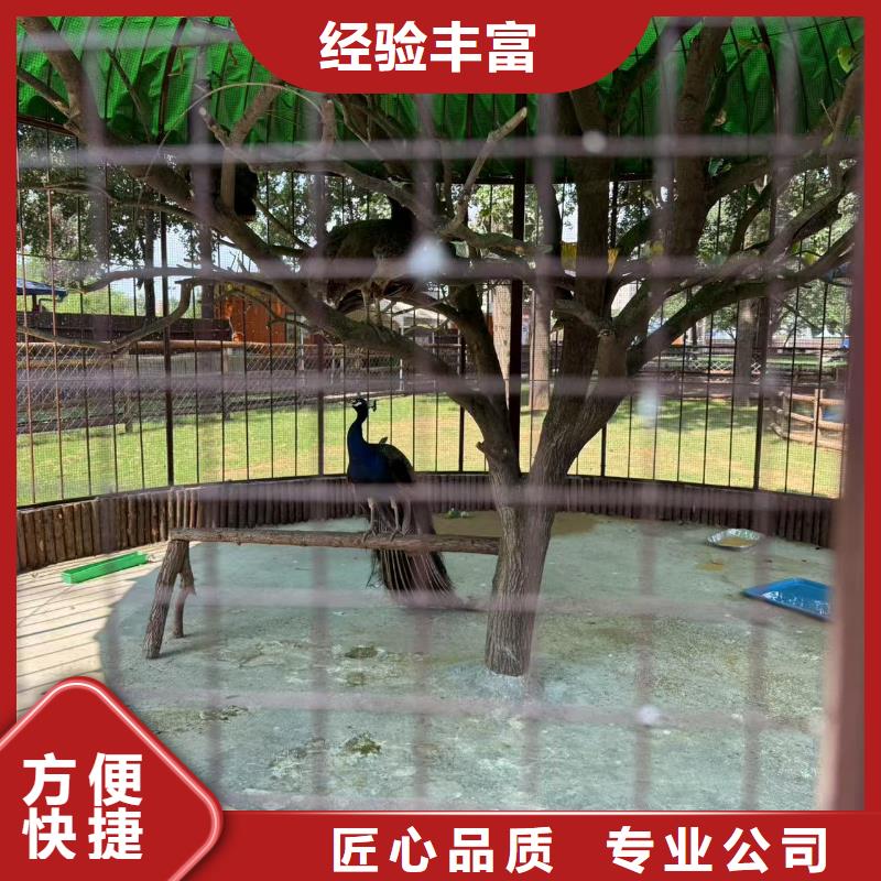 水豚出租性能可靠