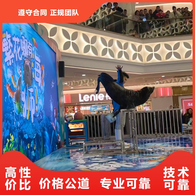 定制亲子活动萌宠出租赁_品牌厂家