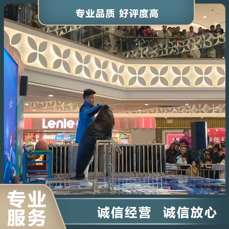 定制亲子活动萌宠出租赁_品牌厂家