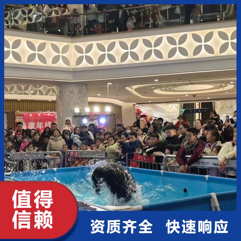 定制亲子活动萌宠出租赁_品牌厂家