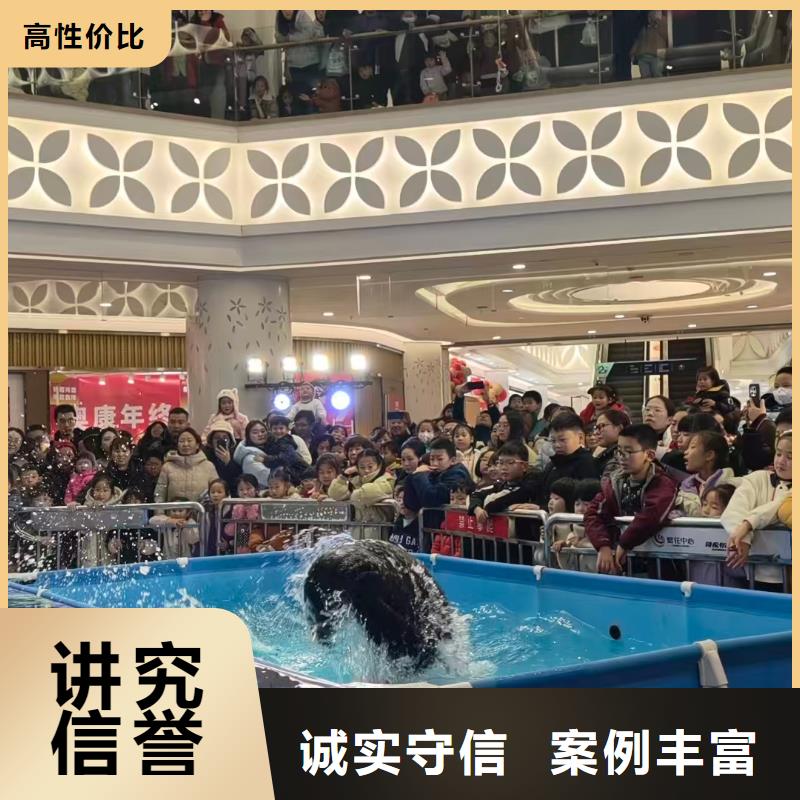 定制亲子活动萌宠出租赁_品牌厂家